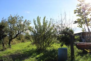 Casa indipendente in vendita a Le Casine, Casciana Terme Lari (PI)