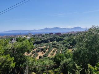 Colonica in vendita a Piombino (LI)