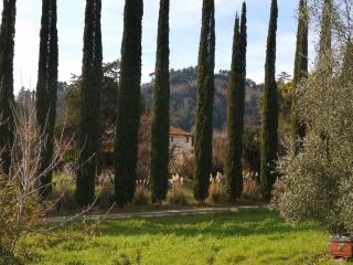 Rustico in vendita a Palaia (PI)