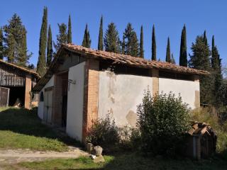 Rustico in vendita a Palaia (PI)