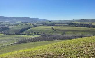 Colonica in vendita a Lajatico (PI)