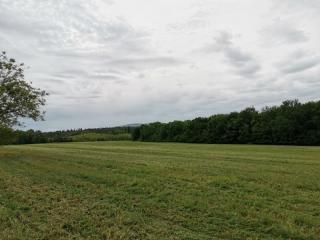 Terreno agricolo in vendita a Poggibonsi (SI)