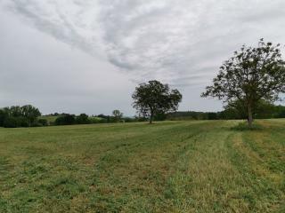 Terreno agricolo in vendita a Poggibonsi (SI)