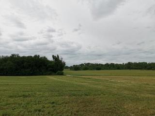 Terreno agricolo in vendita a Poggibonsi (SI)