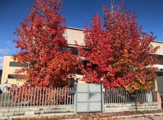 Appartamento in vendita a Cascina (PI)