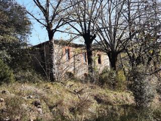 Colonica in vendita a Sovicille (SI)