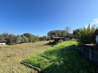 Casa indipendente in vendita a Quattro Strade, Bientina (PI)