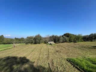 Casa indipendente in vendita a Quattro Strade, Bientina (PI)