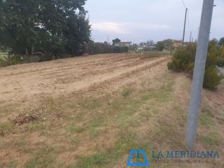 Terreno agricolo in vendita a Larciano (PT)