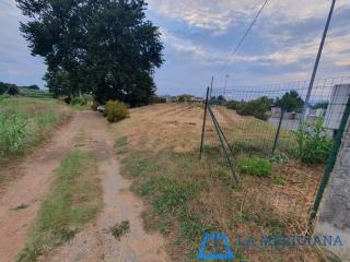 Terreno agricolo in vendita a Larciano (PT)