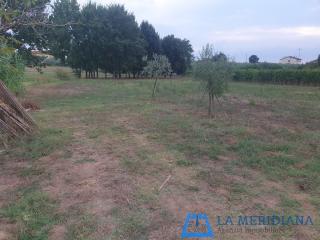 Terreno agricolo in vendita a Larciano (PT)