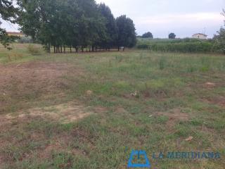 Terreno agricolo in vendita a Larciano (PT)