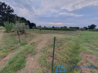 Terreno agricolo in vendita a Larciano (PT)