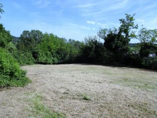 Annesso agricolo in vendita a Poggibonsi (SI)