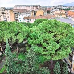 Appartamento in vendita a Centro, Pontedera (PI)