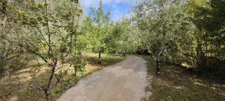 Appartamento in vendita a Montalbuccio, Siena (SI)