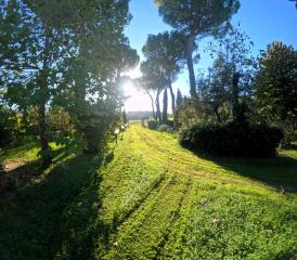 Rustico in vendita a Casole D'elsa (SI)