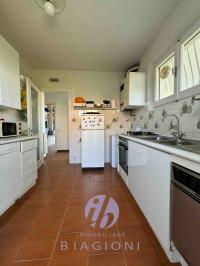 Casa semi-indipendente in vendita a Focette, Pietrasanta (LU)