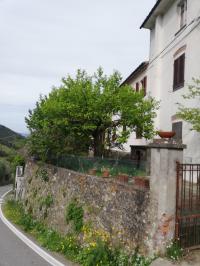 Casa indipendente in vendita a Santa Maria Del Giudice, Lucca (LU)