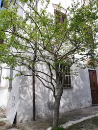 Casa indipendente in vendita a Santa Maria Del Giudice, Lucca (LU)