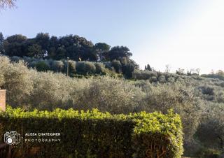 Appartamento in vendita a Scacciapensieri, Siena (SI)