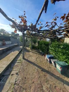 Terratetto in affitto a Montenero Basso, Livorno (LI)