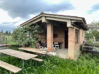 Terreno agricolo in vendita a Castelnuovo Berardenga (SI)