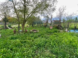 Terreno agricolo in vendita a Castelnuovo Berardenga (SI)