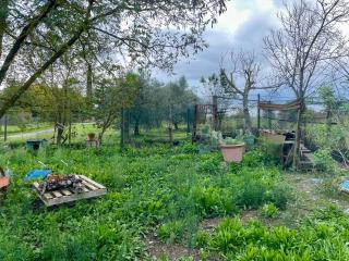 Terreno agricolo in vendita a Castelnuovo Berardenga (SI)