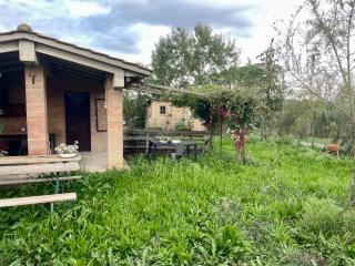 Terreno agricolo in vendita a Castelnuovo Berardenga (SI)