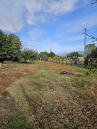 Terreno agricolo in vendita a Migliarina, Viareggio (LU)