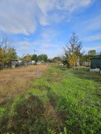 Terreno agricolo in vendita a Migliarina, Viareggio (LU)