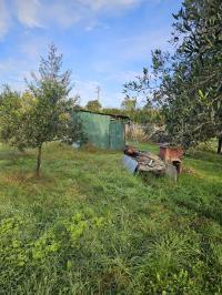 Terreno agricolo in vendita a Migliarina, Viareggio (LU)