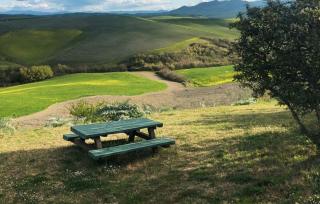 Terreno agricolo in vendita a Peccioli (PI)