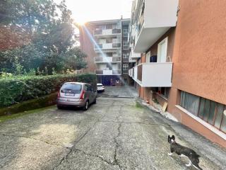 Garage/Box/Posto auto in affitto a Zona Viali, Massa (MS)