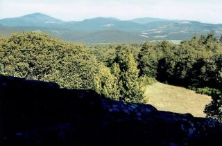 Colonica in vendita a Monticiano (SI)