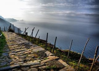 Terratetto in vendita a Riomaggiore (SP)