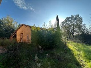 Colonica in vendita a Siena (SI)