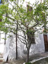 Casa semi-indipendente in vendita a Santa Maria Del Giudice, Lucca (LU)