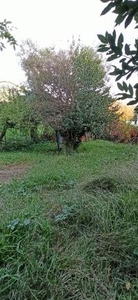 Casa indipendente in vendita a Pontetetto, Lucca (LU)