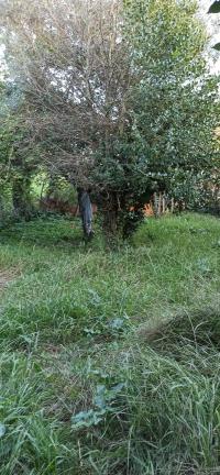 Casa indipendente in vendita a Pontetetto, Lucca (LU)