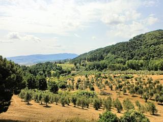 Colonica in vendita a Chianni (PI)