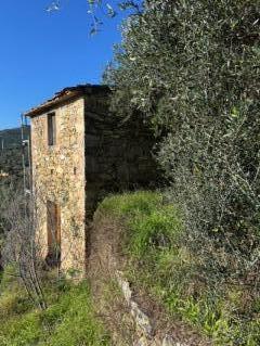 Rustico in vendita a Vicopisano (PI)