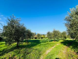 Colonica in vendita a Santa Maria A Monte (PI)