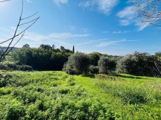 Colonica in vendita a Santa Maria A Monte (PI)