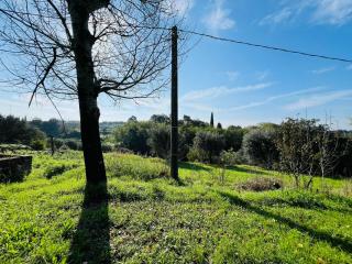 Colonica in vendita a Santa Maria A Monte (PI)