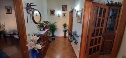 Appartamento in vendita a San Pietro In Palazzi, Cecina (LI)