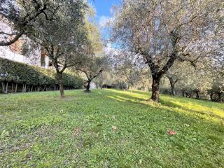 Casa indipendente in vendita a Vado, Camaiore (LU)