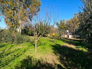 Terreno agricolo in vendita a Putignano Pisano, Pisa (PI)