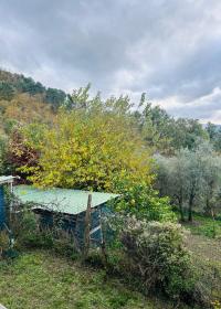 Casa indipendente in vendita a Montedivalli, Podenzana (MS)